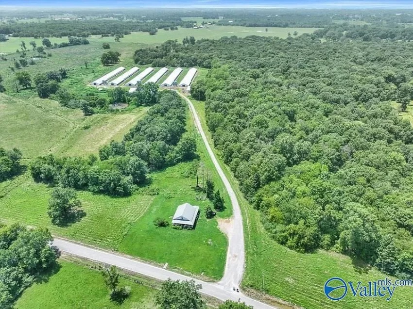 Spacious Farm with Timber, Ponds, and Wildlife in Hartselle, Alabama