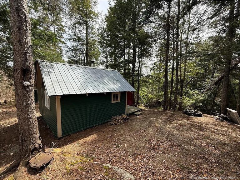 Building a cozy mountain cabin with pallets | DIY off-grid winter retreat