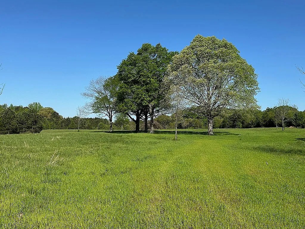 141 Acres of Land Available in Concord, Georgia