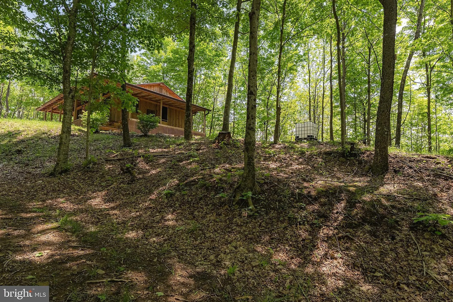 Off-Grid 2-Bedroom Cabin on 41.7 Acres in Summersville, West Virginia