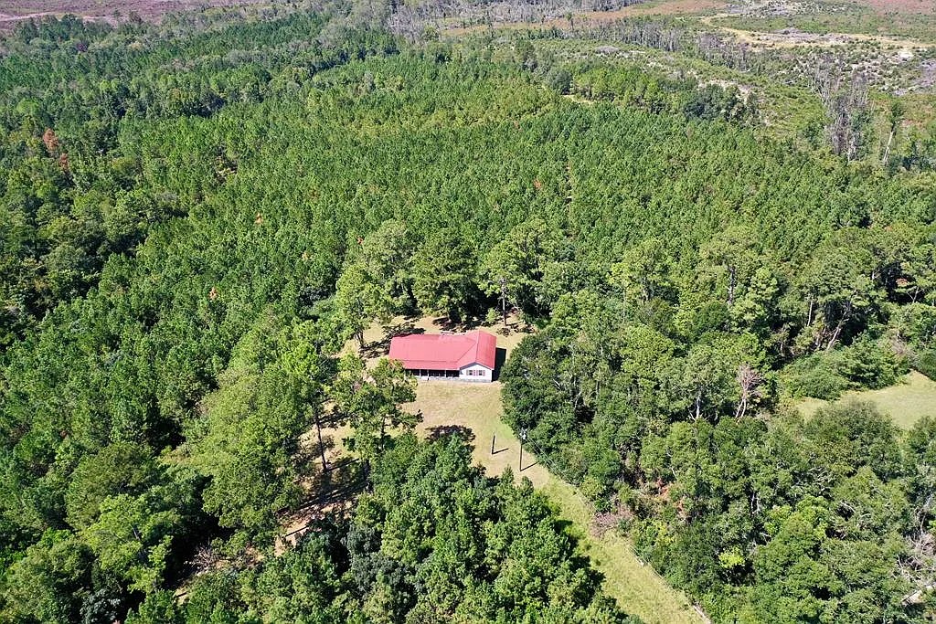 134 Acres with Home, Timber, and Creek Frontage in Jacksonville, Georgia