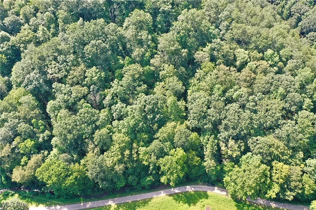 72.79 Acres of Unrestricted Land in Big Bend, West Virginia