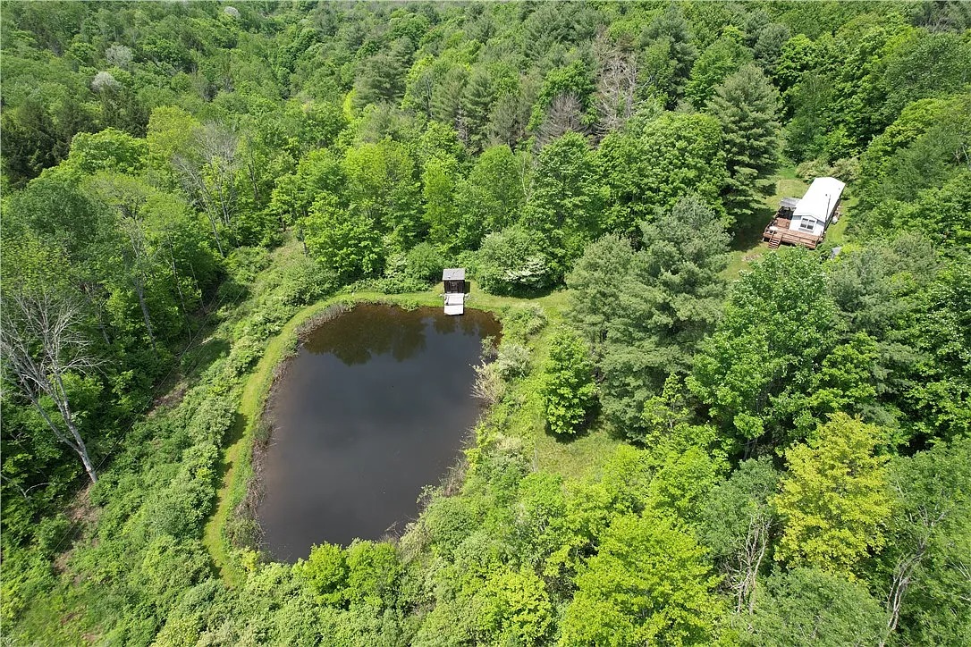 78-Acre Property with Home, Pond, and Woodlands in Spencer, New York