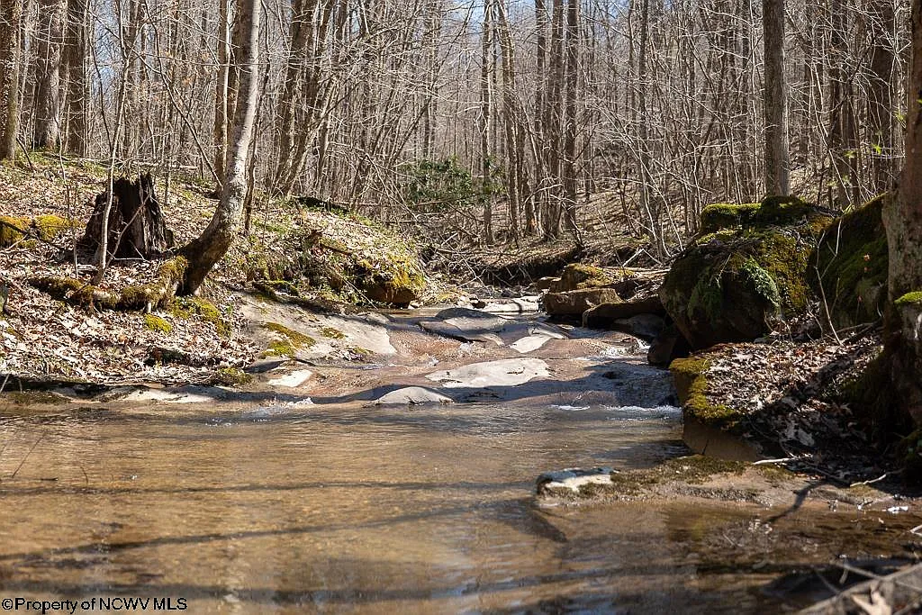 Land with 56.15 Acres in Kingwood, West Virginia