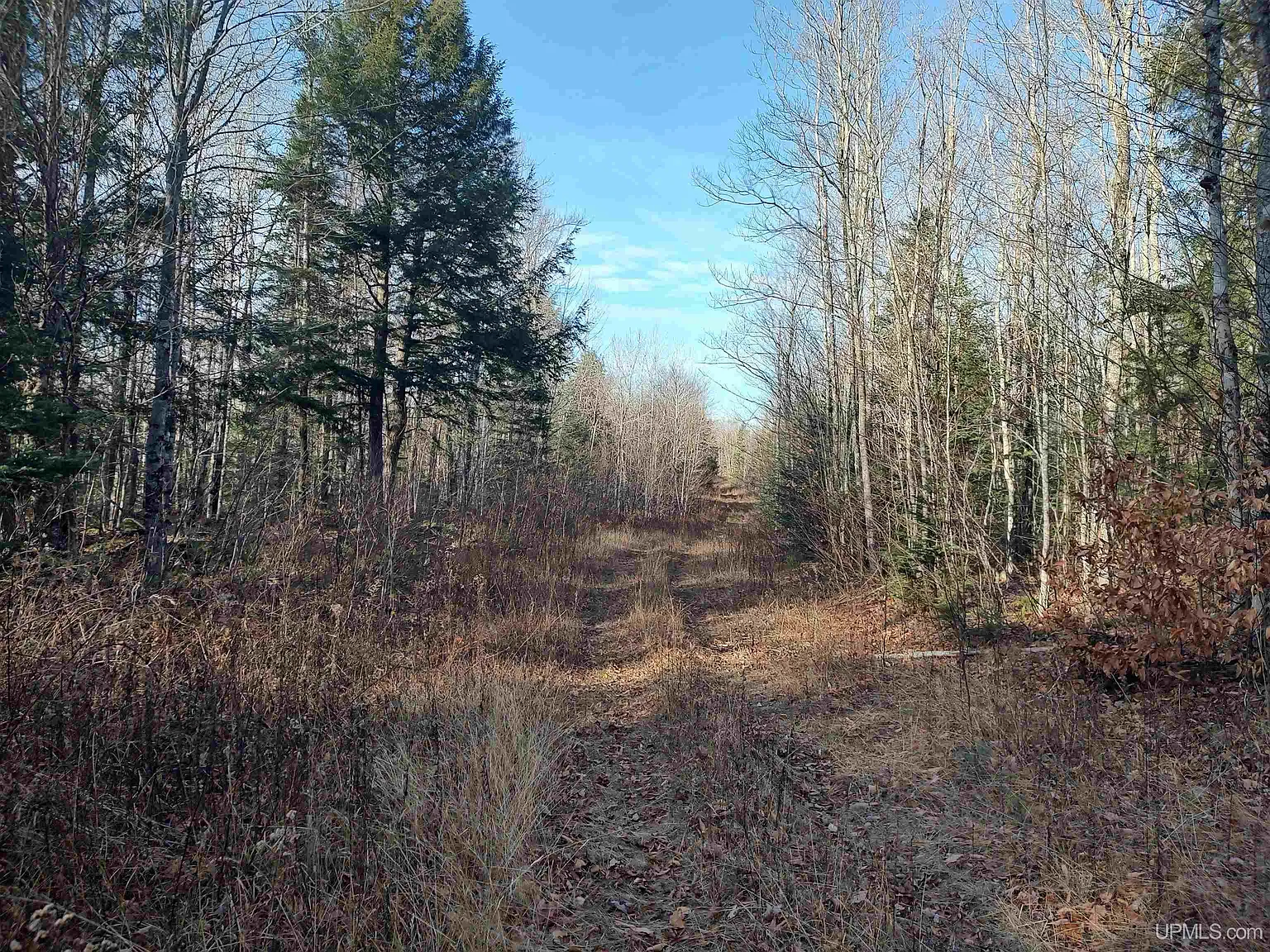 Wooded Land with 240 Acres in Deerton, Michigan